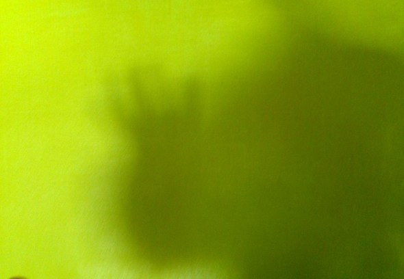 André Clouâtre, Photo de mon ombre sur une toile jaune, 203